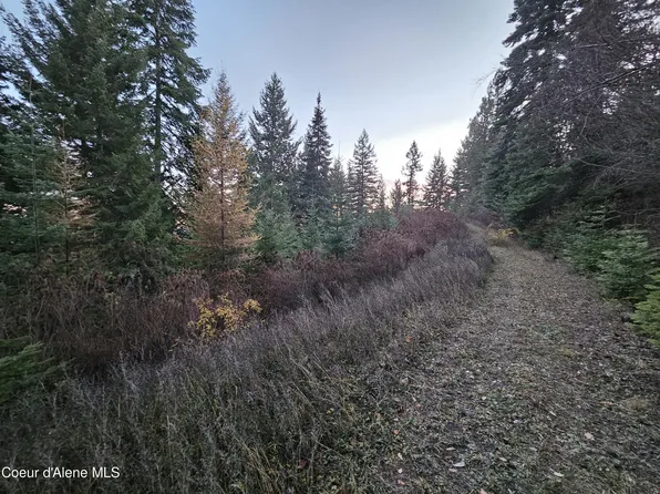 Nka Ridgeview Rd, Saint Maries, ID 83861