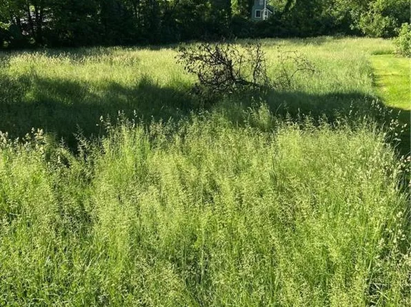 Chestnut St, Wadsworth, OH 44281