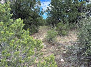 725 Riggs Rd N, Westcliffe, CO 81252