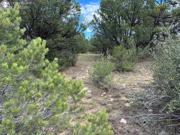 725 Riggs Rd N, Westcliffe, CO 81252