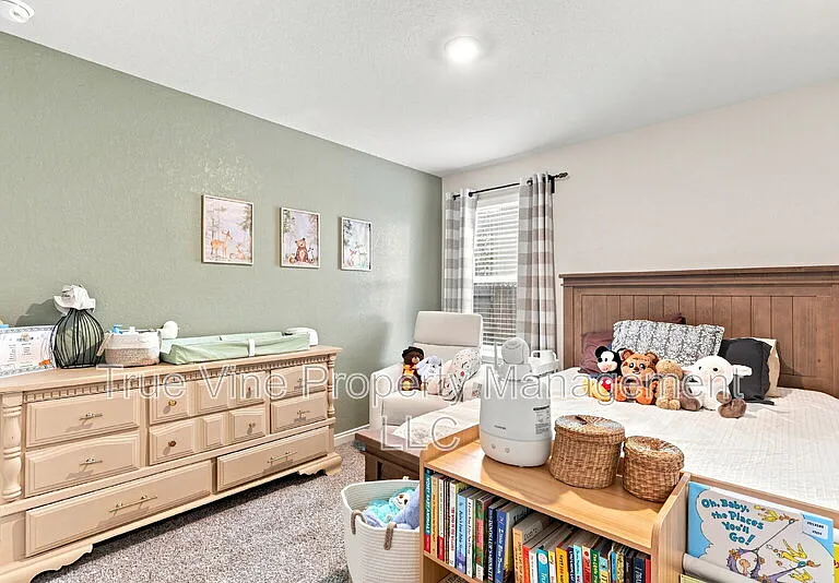 3107 Lindenwood Way — Photo 15