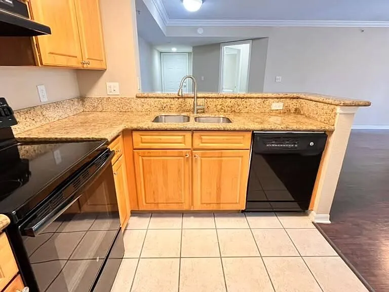 15155 Michelangelo Blvd — Photo 23