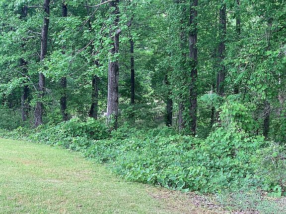 5th image of LOT 10 Woodland Hills Dr