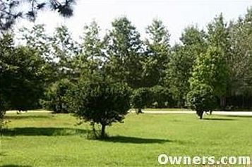 Side yard