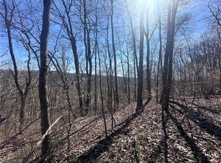 Union Hill Rd #10, Blue Rock, OH 43720