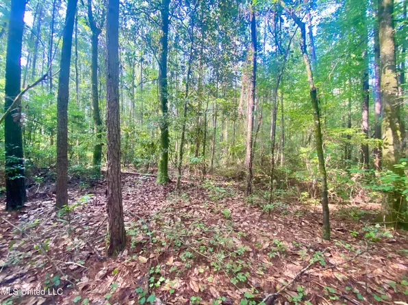 102 Kirby Creek Rd, Wiggins, MS 39577
