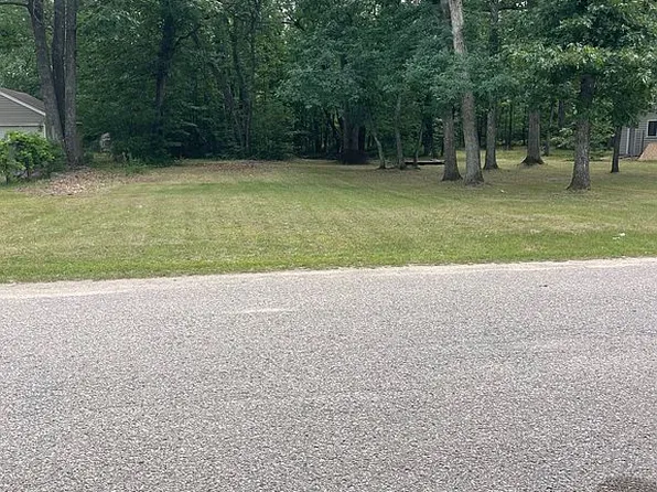 6795 Louise Dr, Indian River, MI 49749