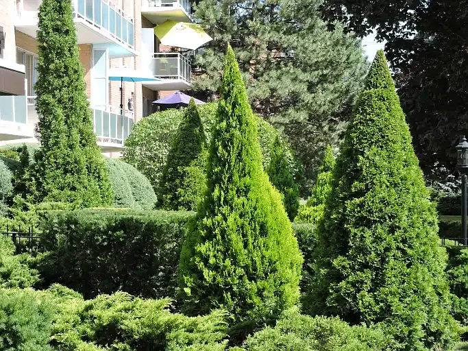 1 bed, 1.0 bath, $1,850 — Photo 2