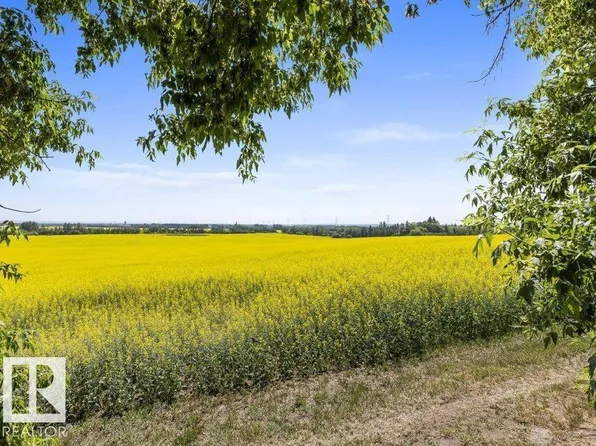 21203 18th St NW, Edmonton, AB T5Y 6B7