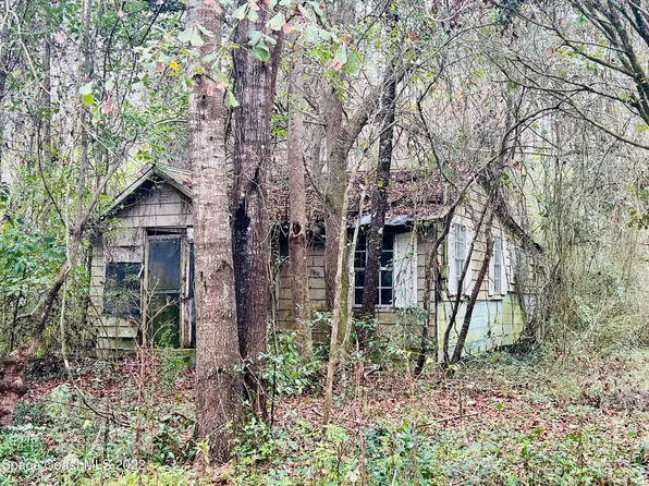 166 Johnson St, Greenville, FL 32331