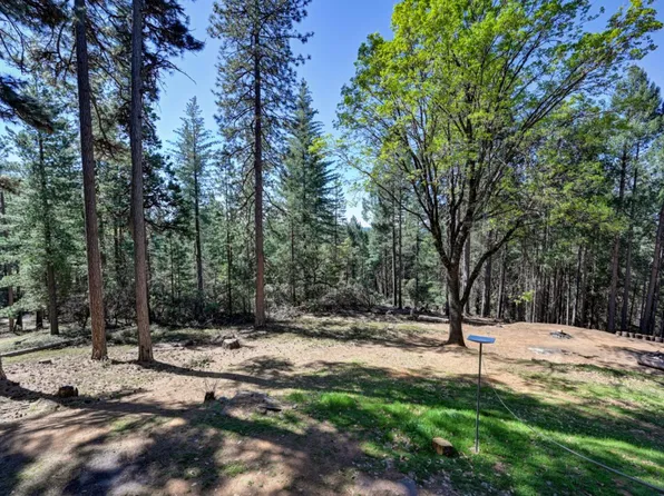 1961 Caprine Hill Trl, Pollock Pines, CA 95726