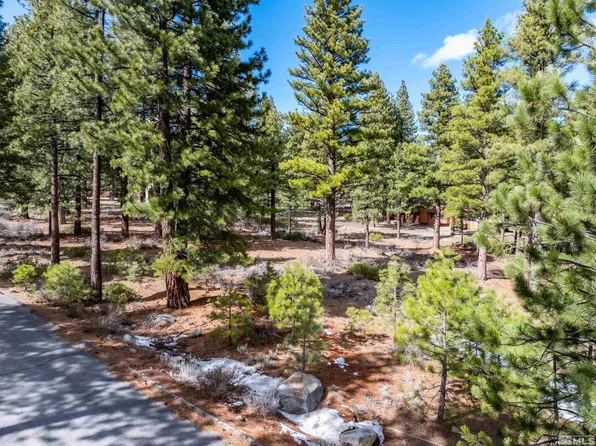 17065 Evergreen Hills Dr, Reno, NV 89511