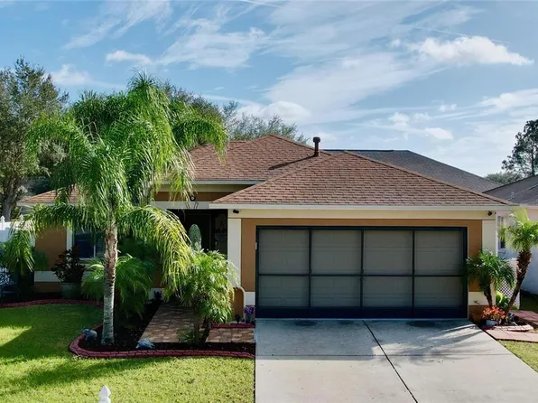 3102 Pine Top Dr, Valrico, FL 33594