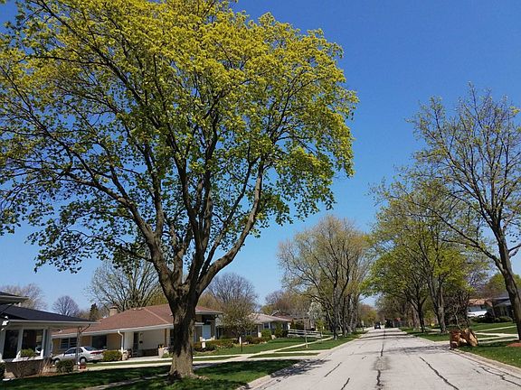 5th image of 15 N Waterman Ave