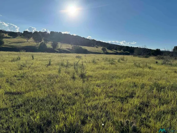 665 Us Highway 380, Capitan, NM 88316