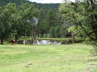 100 Fs Rd #9852A, Happy Jack, AZ 86024