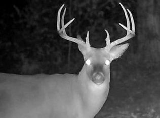 1 Alford Rd, Alford, FL 32420