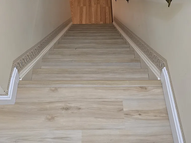 812 Court St #D — Photo 12