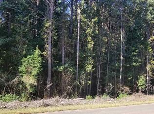 LOT 21 Mooney Rd, Columbiana, AL 35051