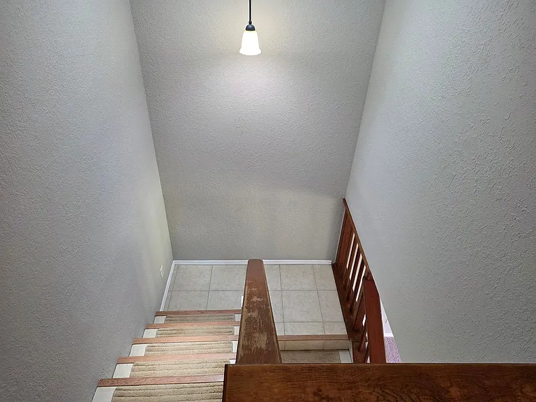 162 Olive Tree Cir — Photo 25