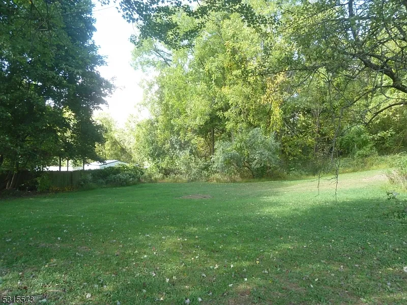 3 bed, 1.0 bath, $2,900 — Photo 4