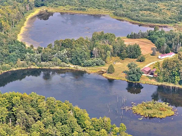 18011 Thirteen Mile Rd, Leroy, MI 49655