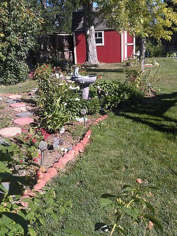 Back yard