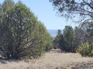 LOT 30 Rattlesnake Rd, Ash Fork, AZ 86320