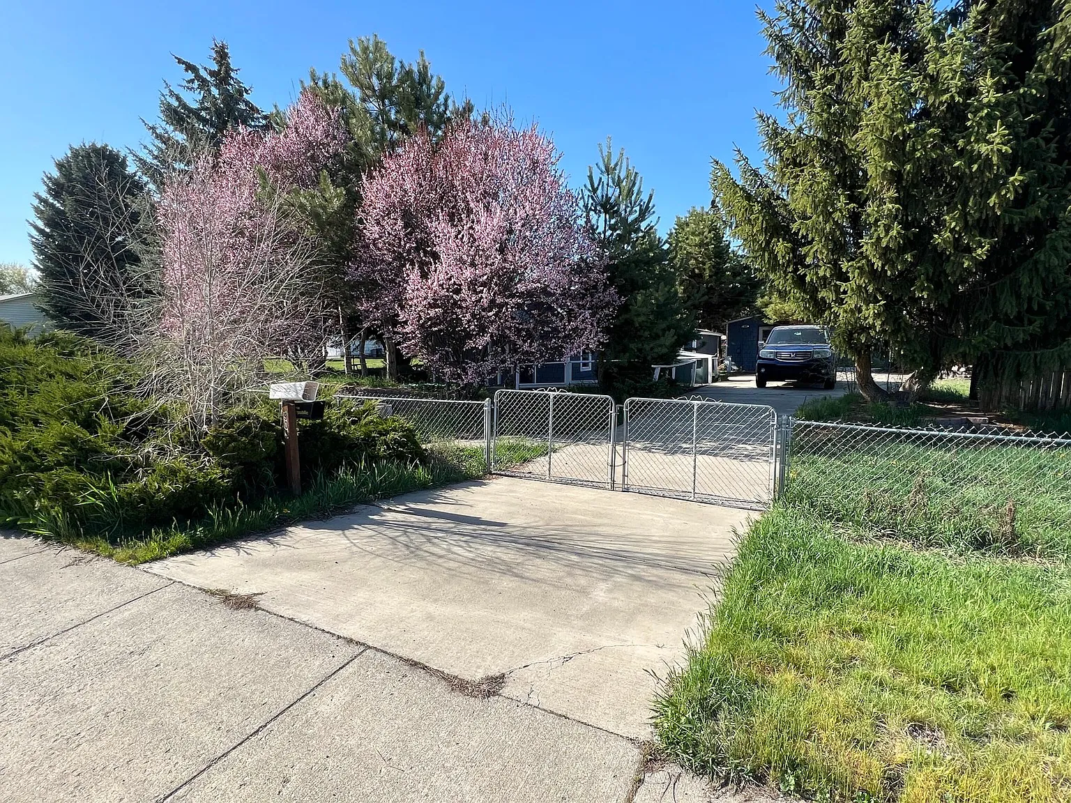 903 W 5th Ave — Photo 3