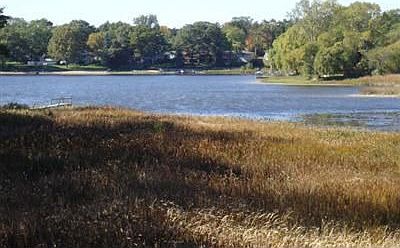 View of the bayou