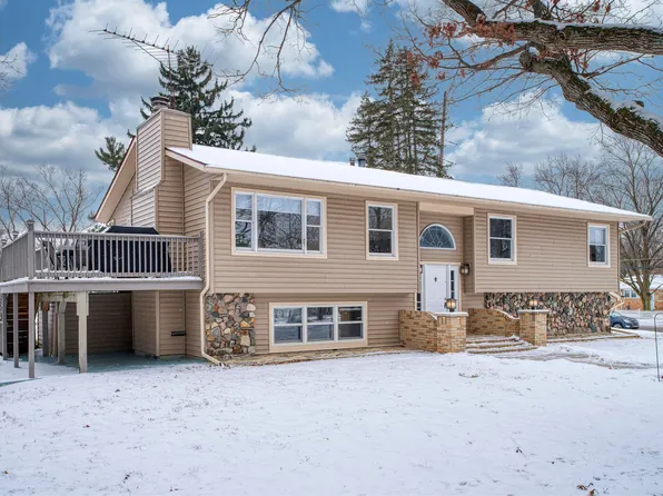 319 Wilkinson St, Chelsea, MI 48118