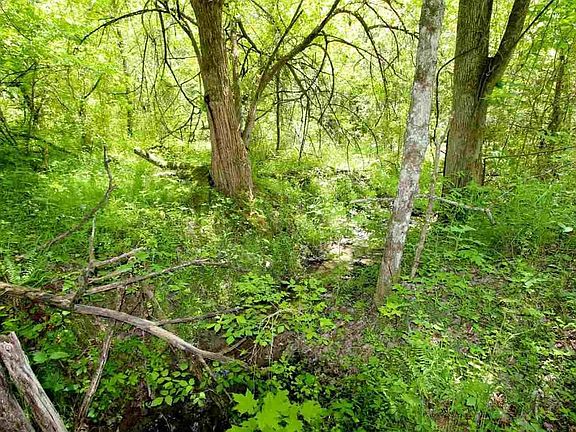 5th image of 658 Crossfield Rd Lot K