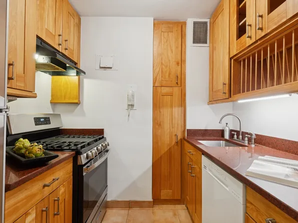 175 West 13th Street 7E image 5 of 6