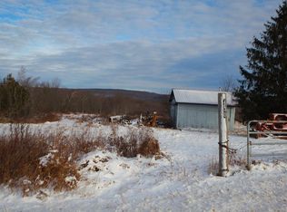 430 Stump Pond Rd, Livingston Manor, NY 12758