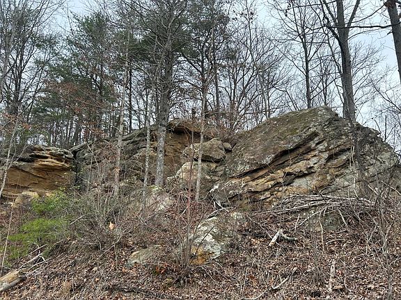 5th image of 151 Walter Crabtree Rd