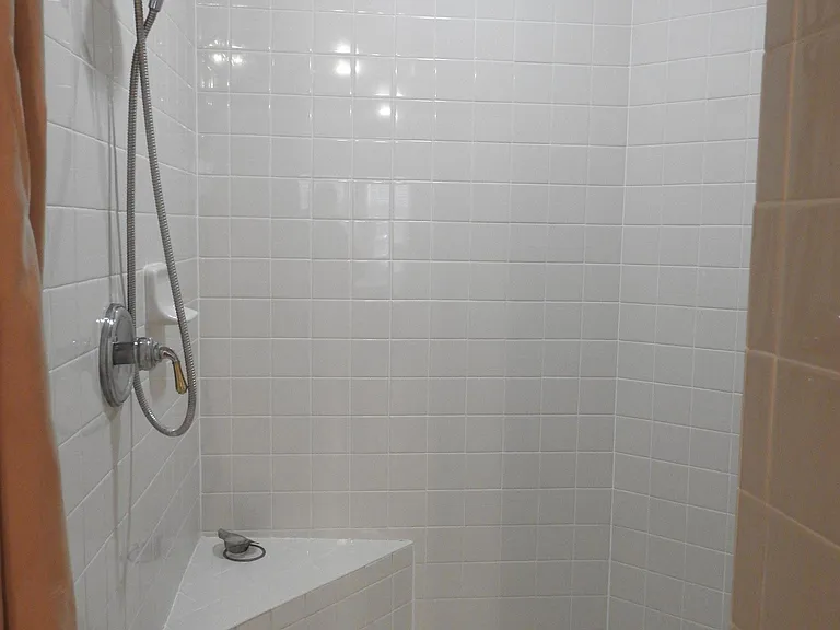 Upstairs Master Bedroom Walk-in Shower