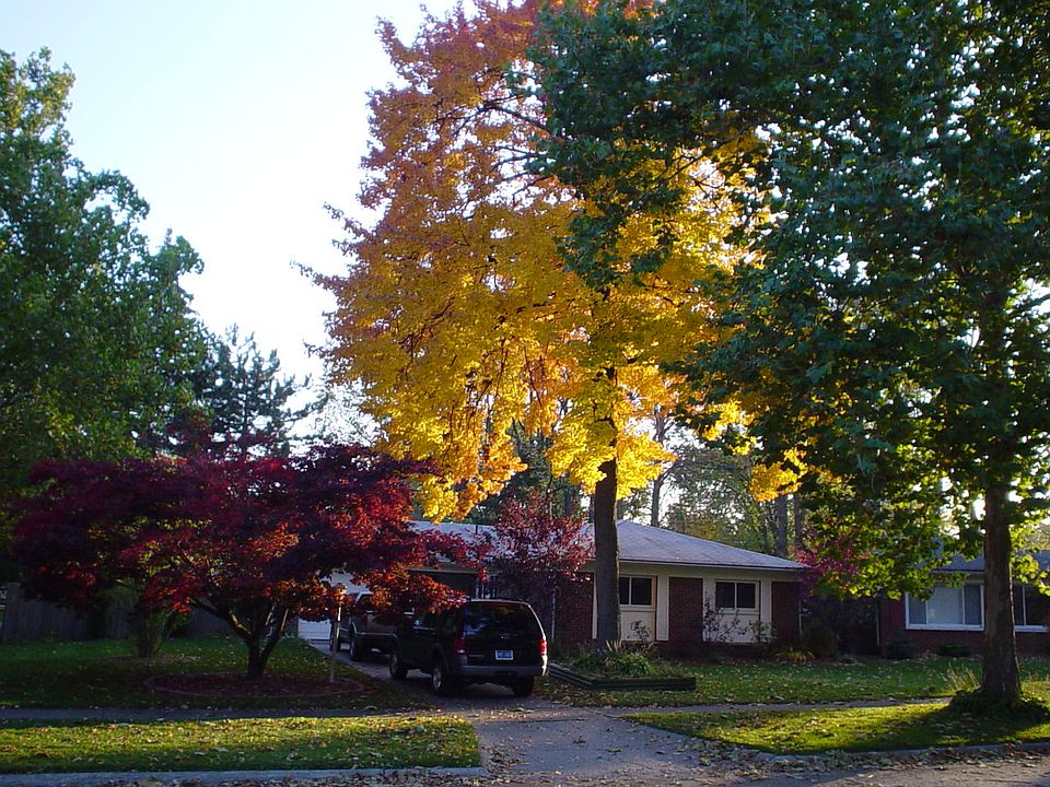 1st image of 23611 Larkshire Dr