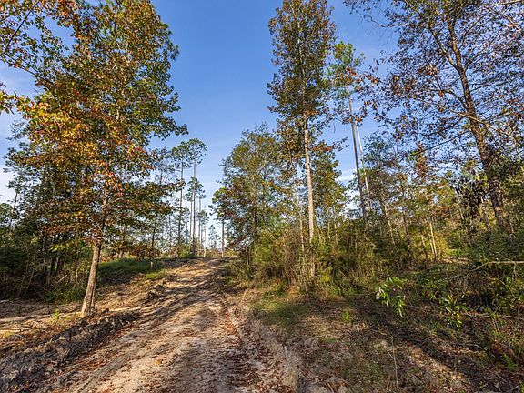 3rd image of 0 Whitehouse Fork Rd