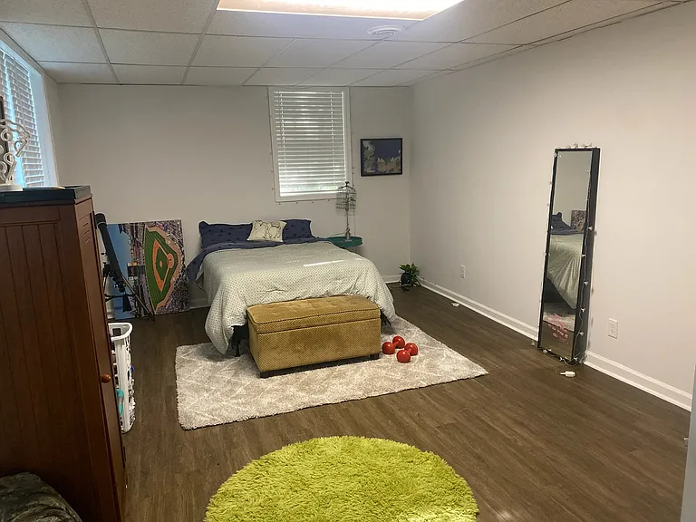 Downstairs bedroom