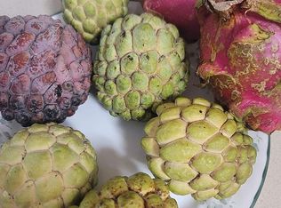 10320 SW 157th Ter, Miami, FL 33157