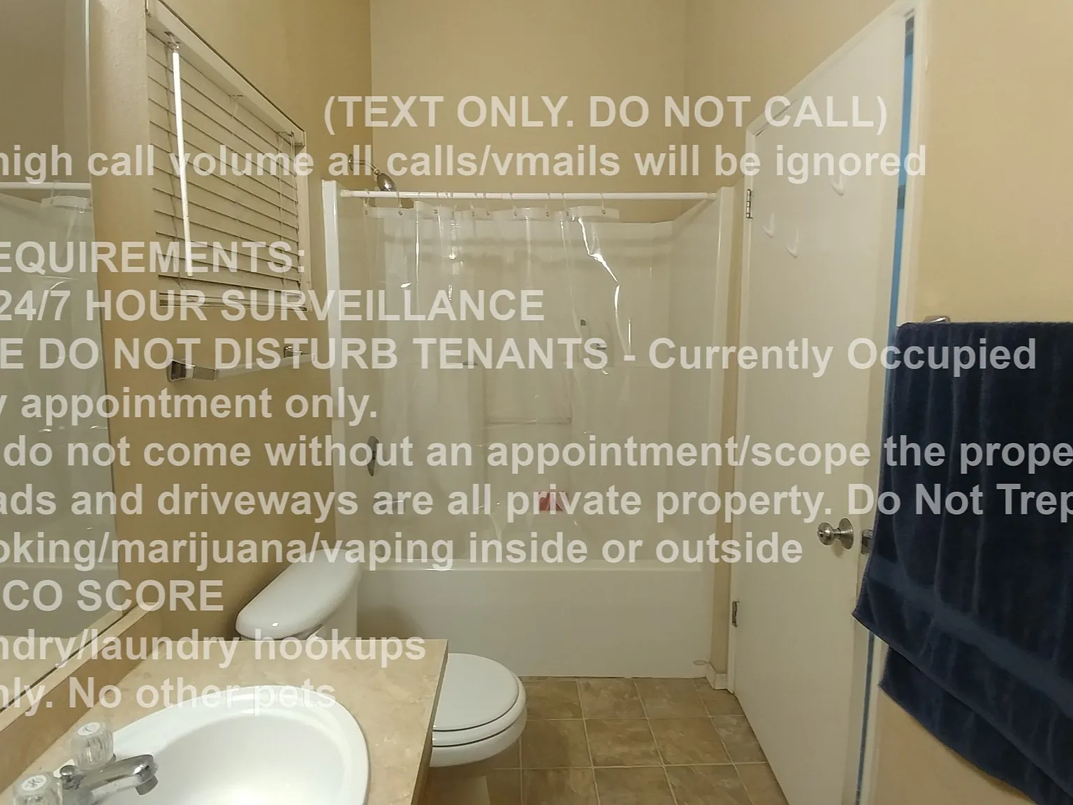 1 bed, 580 sqft, $1,200 — Photo 3