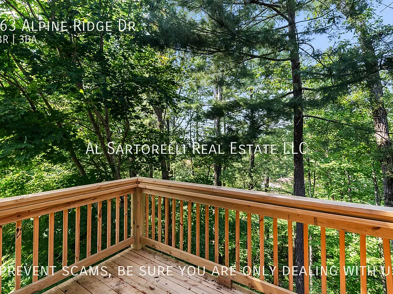 163 Alpine Ridge Dr — Photo 13