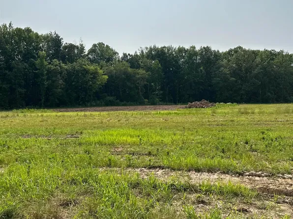 TRACT 43 Hays Mill Rd, Elkmont, AL 35620