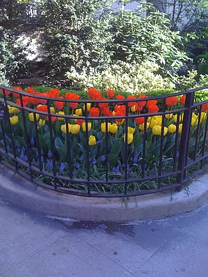 Sold by Classic Marketing | media 2