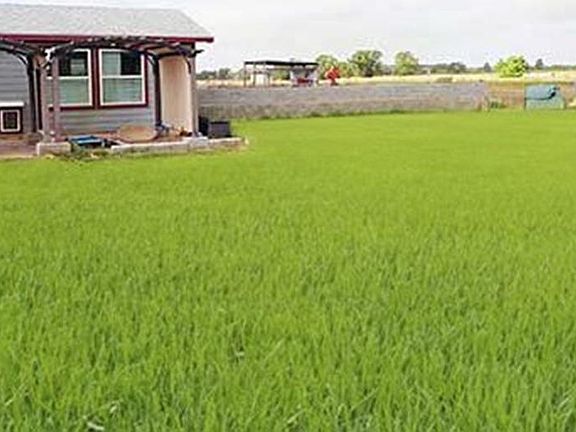 4th image of 142 Zimmerhanzel Rd