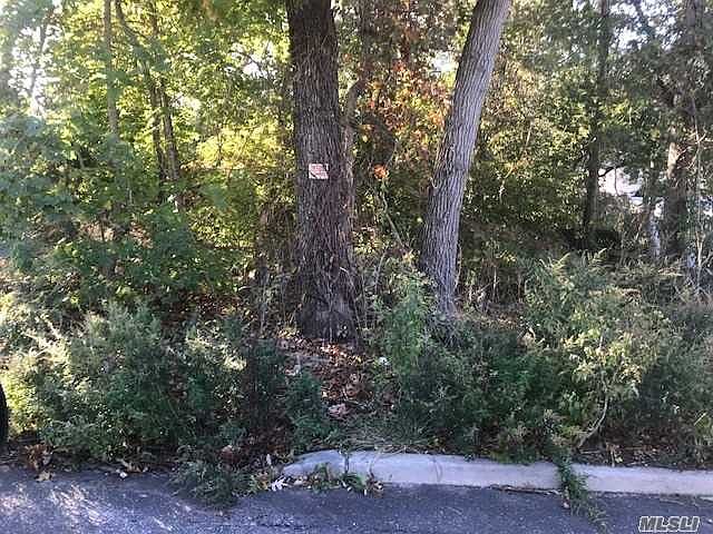 1st image of Ormond Ave