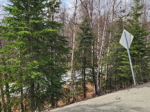 16446 W Willow Fishhook Rd, Willow, AK 99688