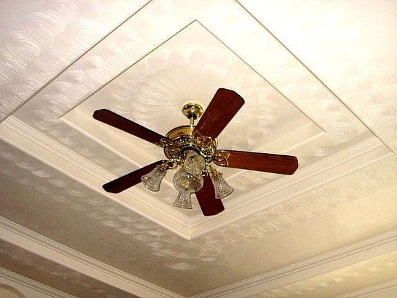 Box Ceiling w/combed plaster art