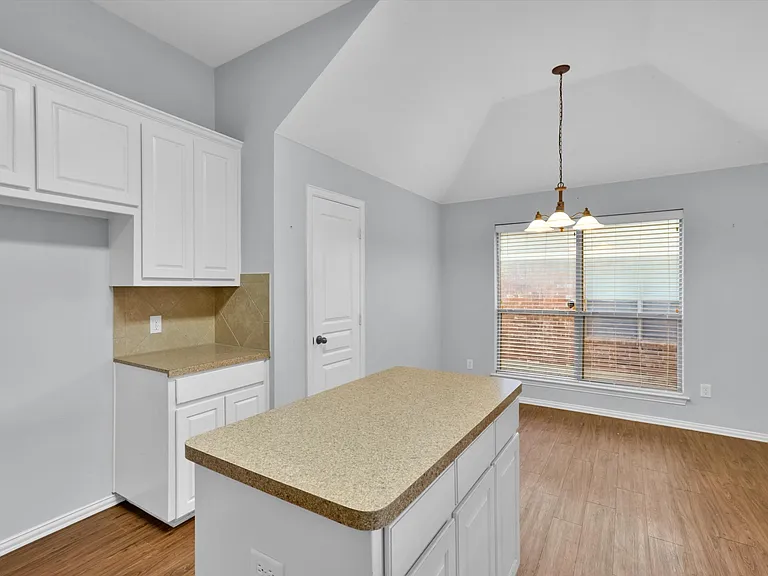 409 Silver Mine Dr — Photo 10