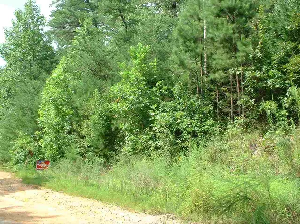 Horse Creek Dr, Mill Spring, NC 28756